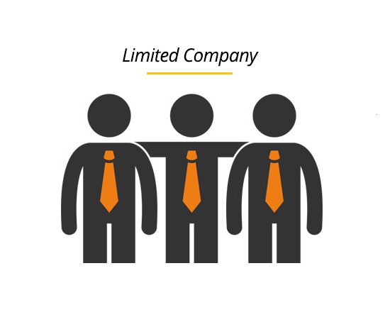 public-limited-company